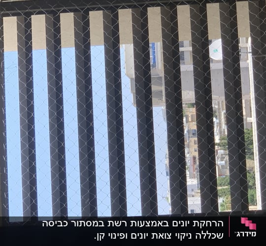 רשת מתכת על חלון למניעת כניסת יונים
